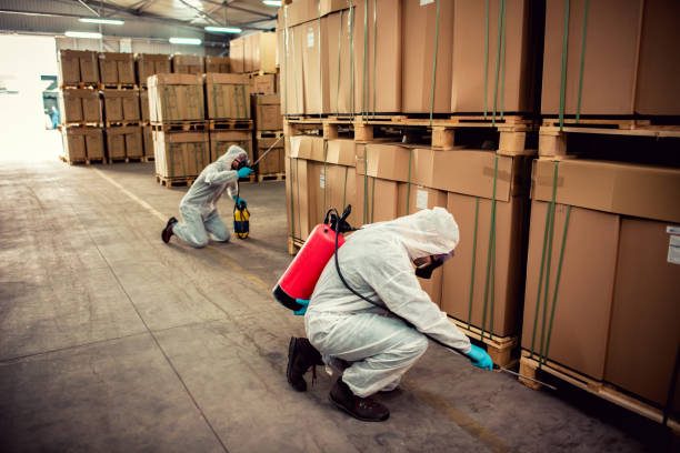 Pest Prevention Services in Hayneville, AL
