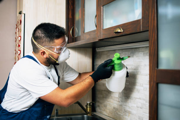 Professional Pest Control in Hayneville, AL
