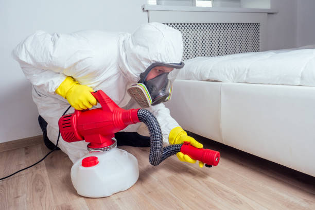 Best Affordable Pest Control Services  in Hayneville, AL