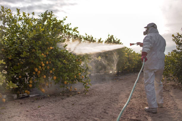 Best Local Pest Control Services  in Hayneville, AL