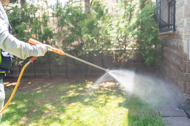 Best Wasp Removal Services  in Hayneville, AL