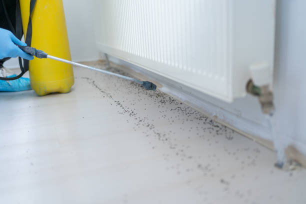 Best Pest Prevention Services  in Hayneville, AL