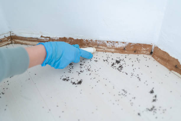 Best Wildlife Control Services  in Hayneville, AL