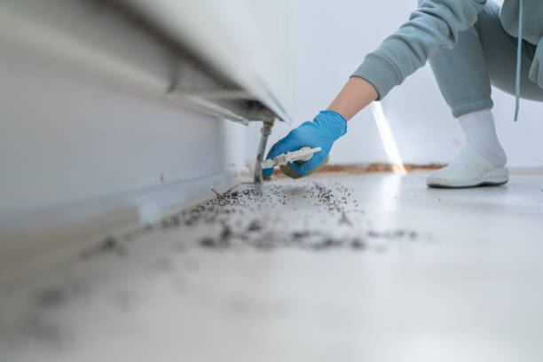 Best Pest Prevention Services  in Hayneville, AL
