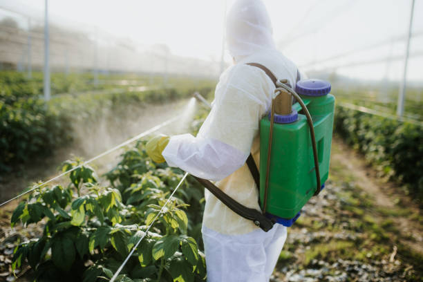  Hayneville, AL Pest Control Pros